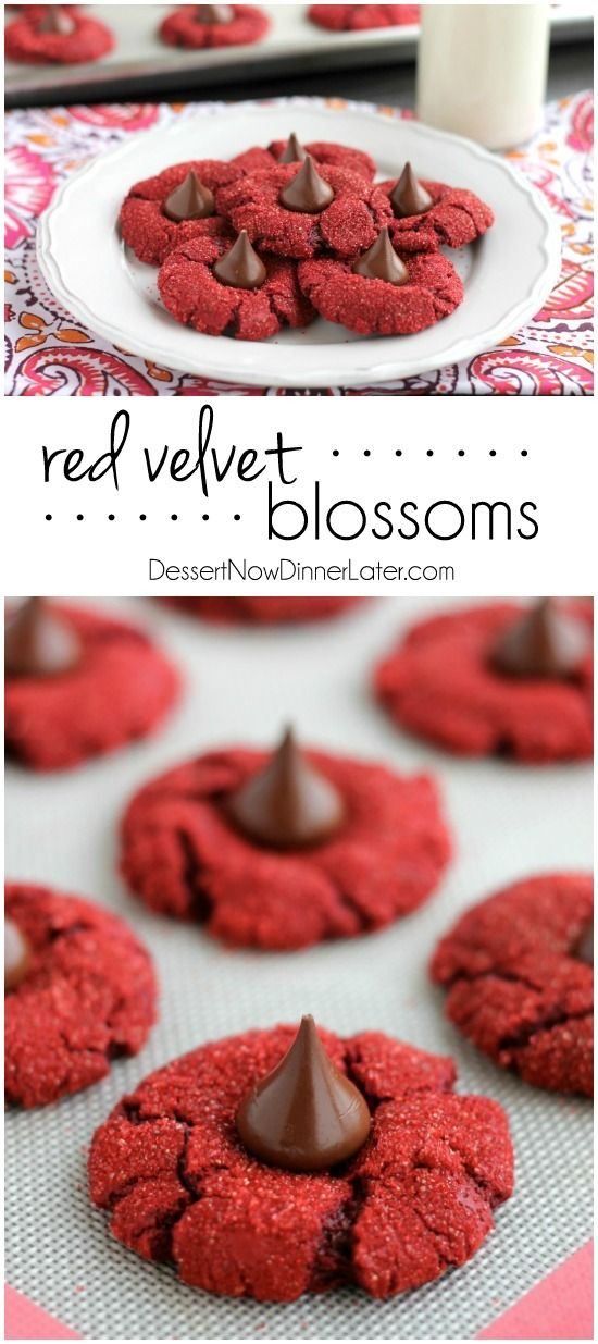 Red Velvet Blossoms