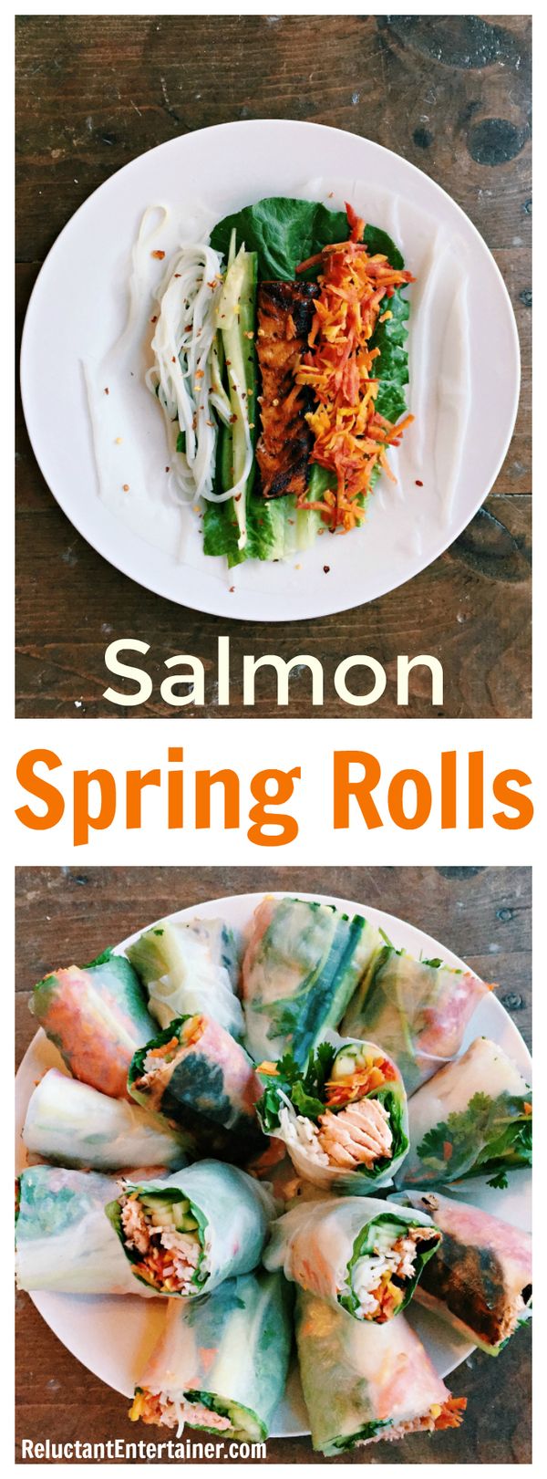 Salmon Spring Rolls