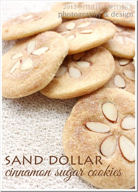 Sand Dollar Cinnamon Sugar Cookies