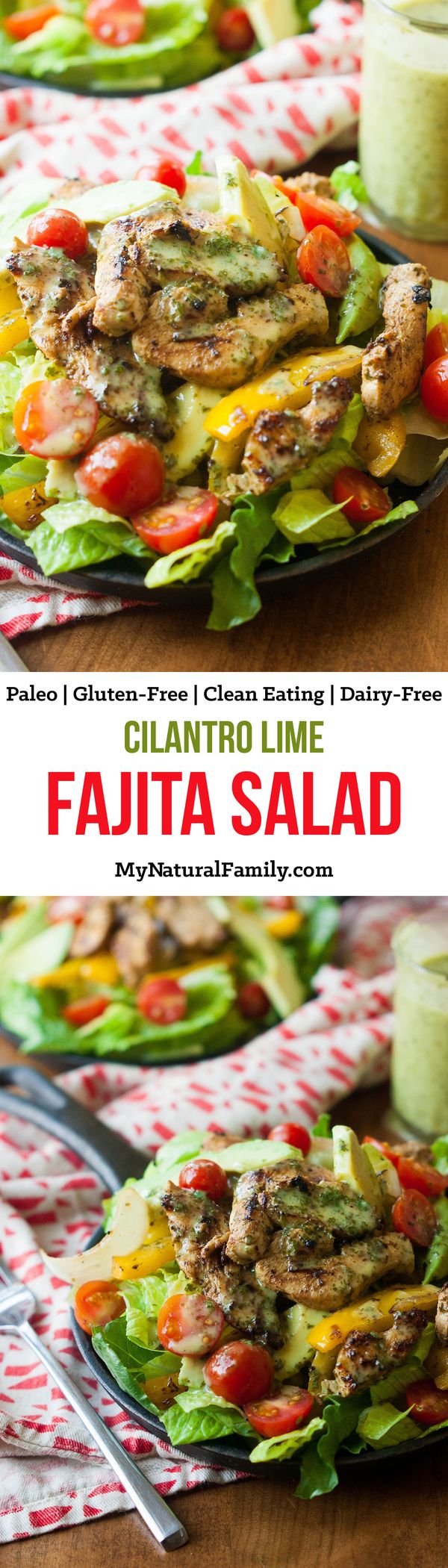 Sizzling Cilantro Lime Fajita Salad with Honey Lime Vinaigrette