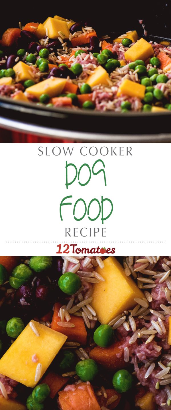 Slow Cooker Dog Food