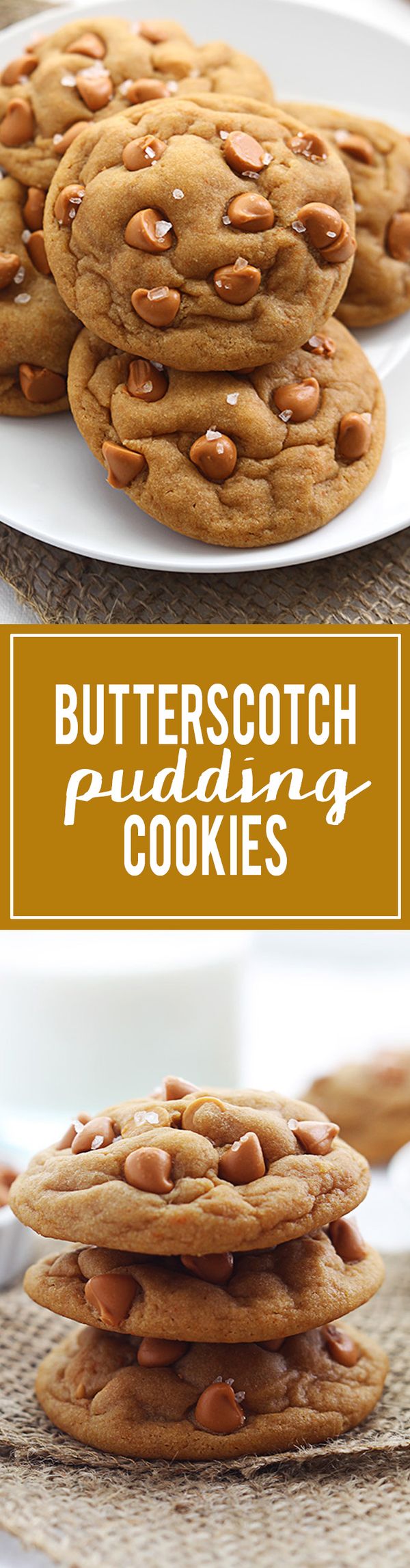 Soft Butterscotch Chip Pudding Cookies