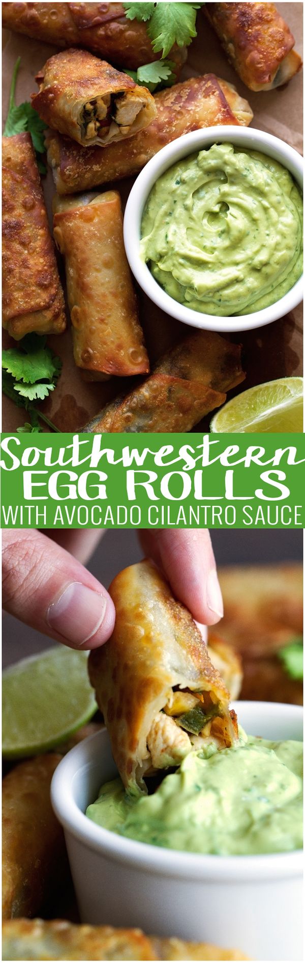 Southwestern Egg Rolls with Avocado Cilantro Sauce