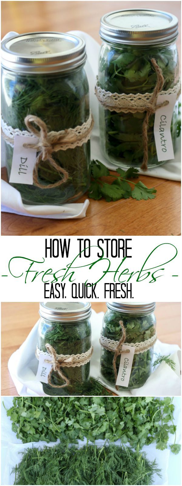 Storing Fresh Herbs