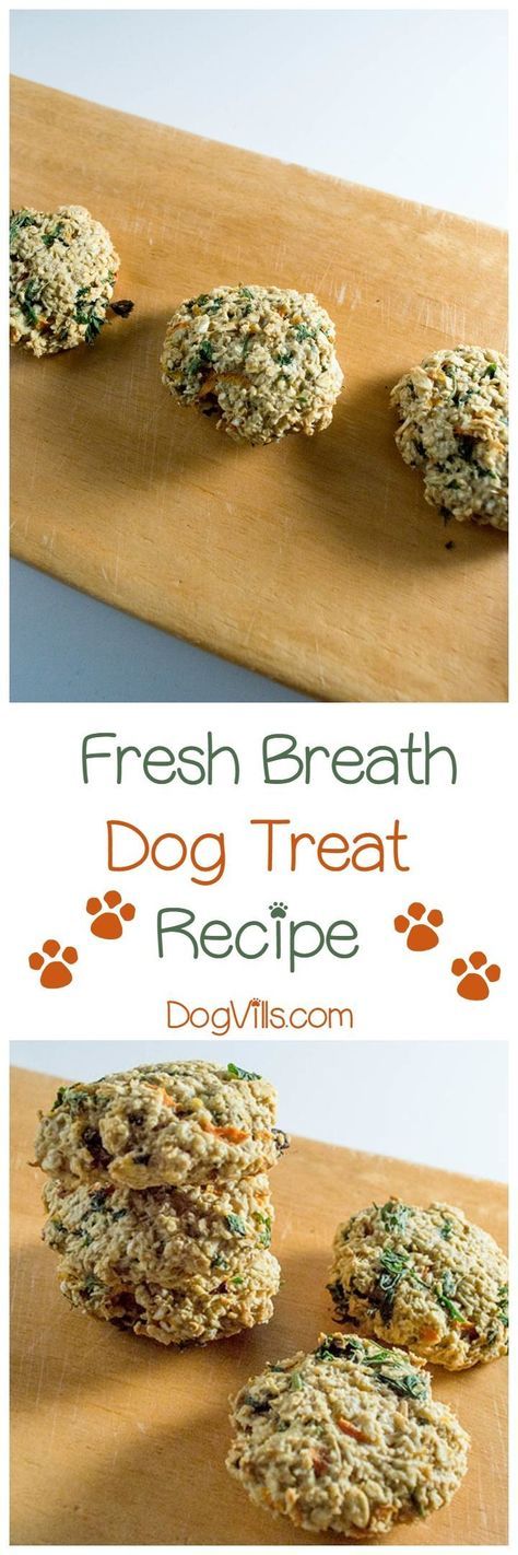 Sweeten Fido's Kisses With Our Fresh Breath Dog Treat