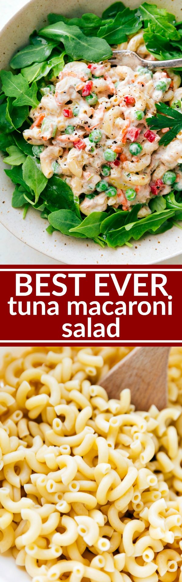 The BEST Macaroni Tuna Salad