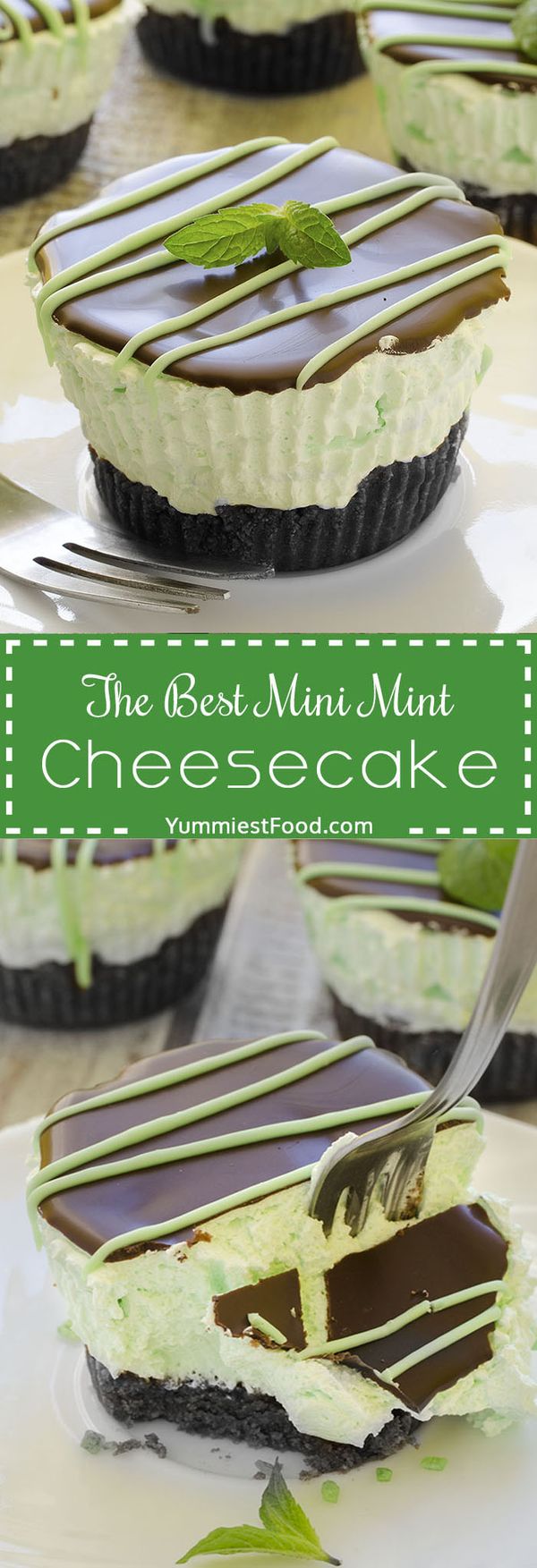 The Best Mini Mint Cheesecake