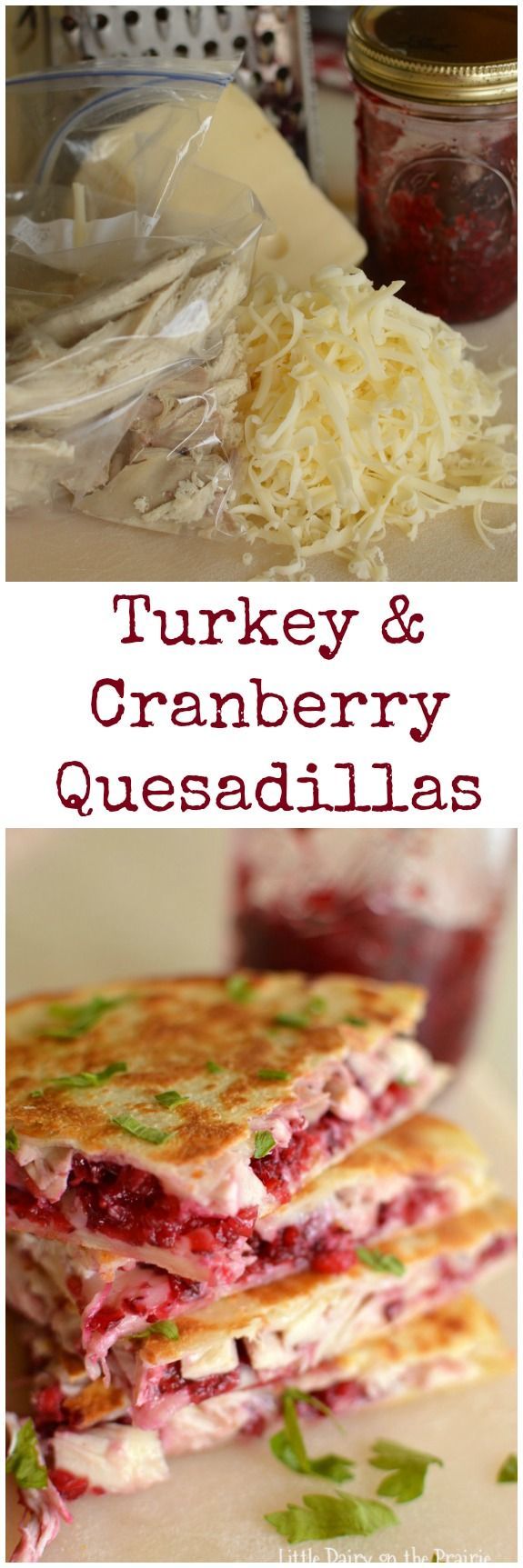 Turkey & Cranberry Quesadillas