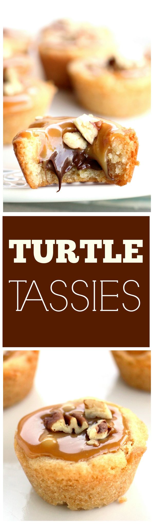 Turtle Tassies