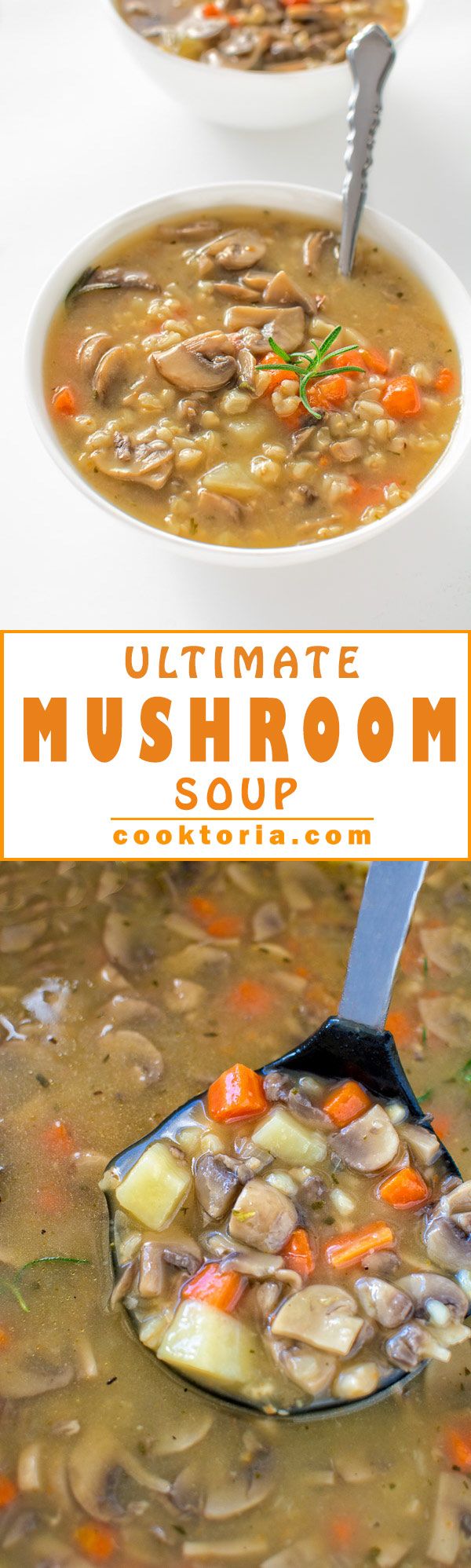 Ultimate mushroom soup