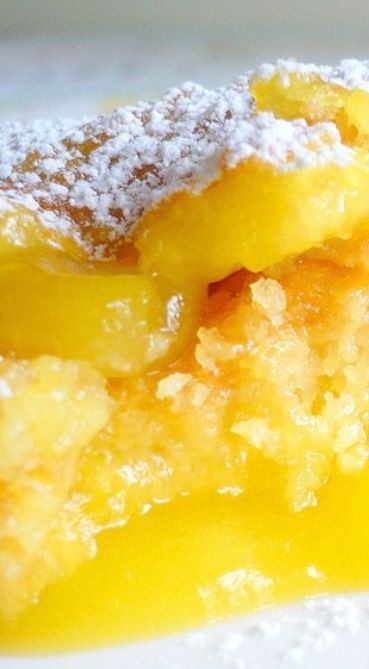 Warm Lemon Pudding Cake