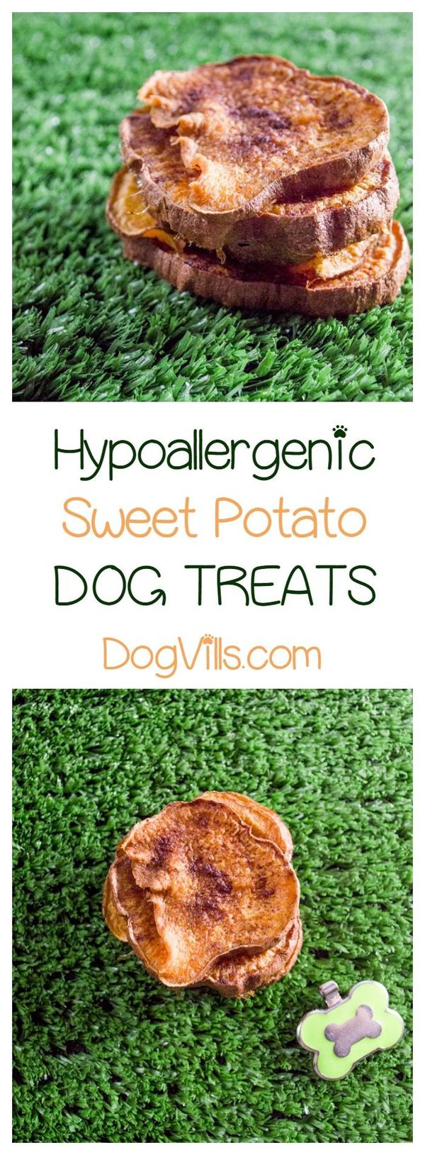 3-Ingredient Hypoallergenic Sweet Potato 