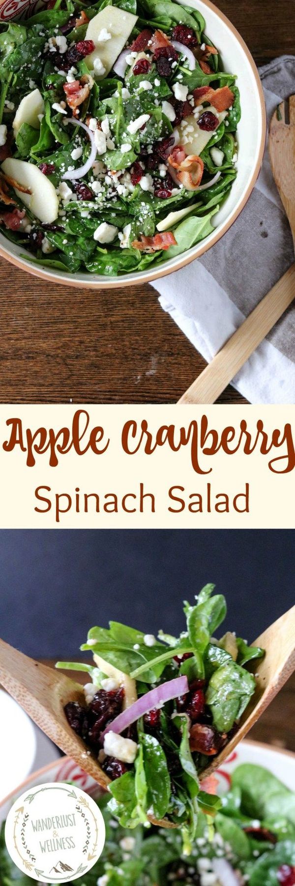 Apple Cranberry Spinach Salad