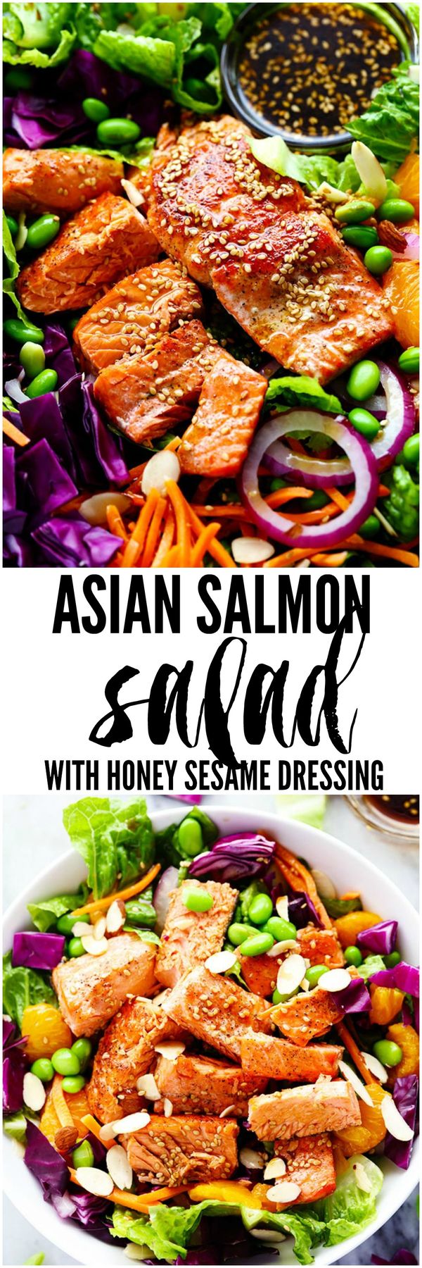 Asian Pan Seared Salmon Salad with Honey Sesame Dressing