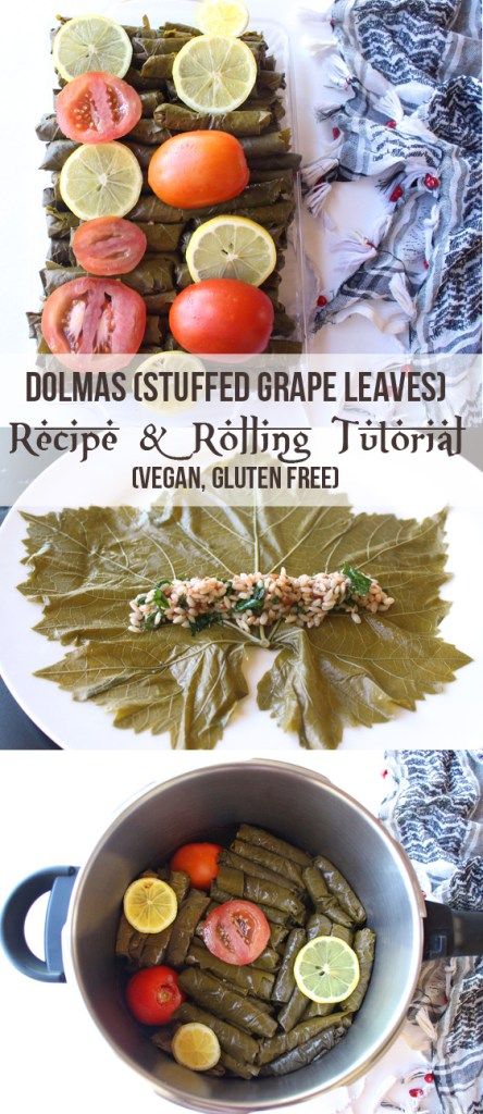 Authentic Yalanji (Dolmas Stuffed Grape Leaves with Rolling Tutorial [Vegan, GF]