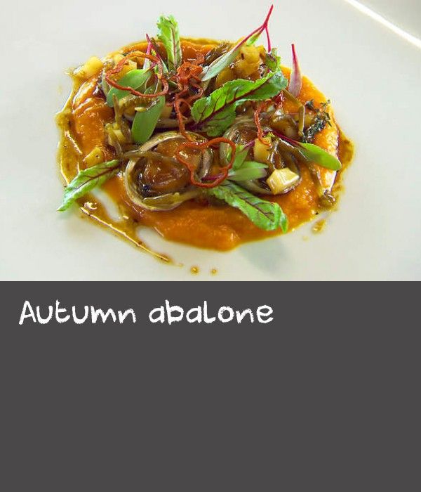 Autumn abalone