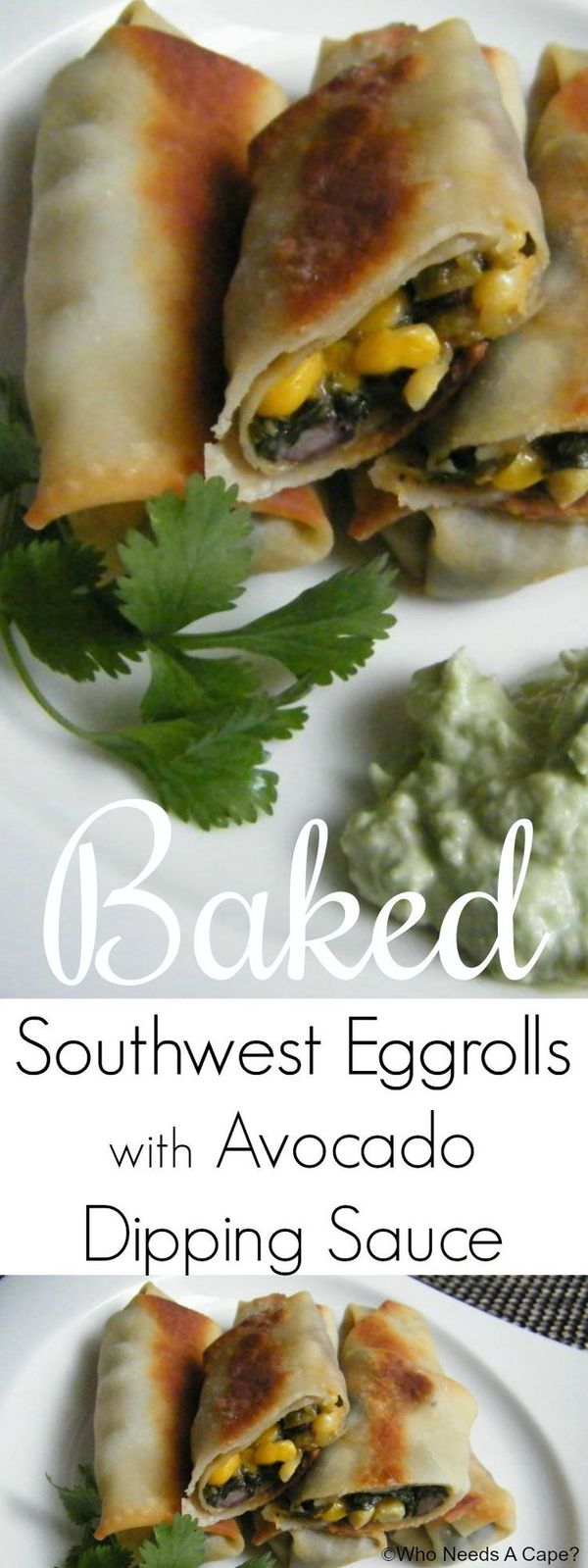Baked Southwest Eggrolls