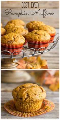 Best Ever Pumpkin Muffins