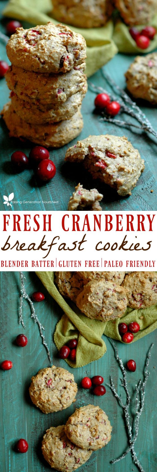 Blender Batter Fresh Cranberry Breakfast Cookies :: Gluten Free, Refined Sugar Free, Paleo Friendly