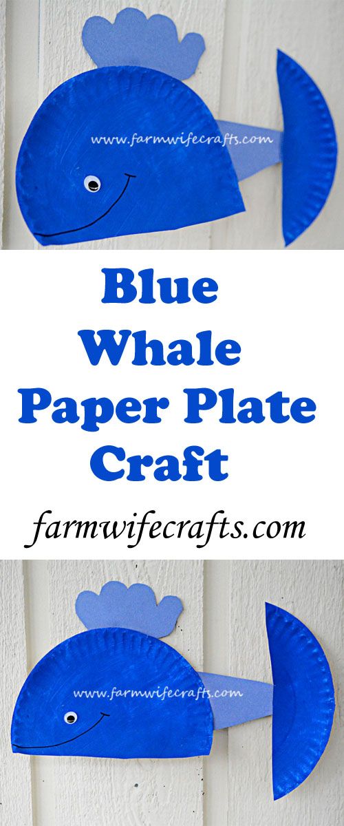 Blue Whale Paper Plate Craft