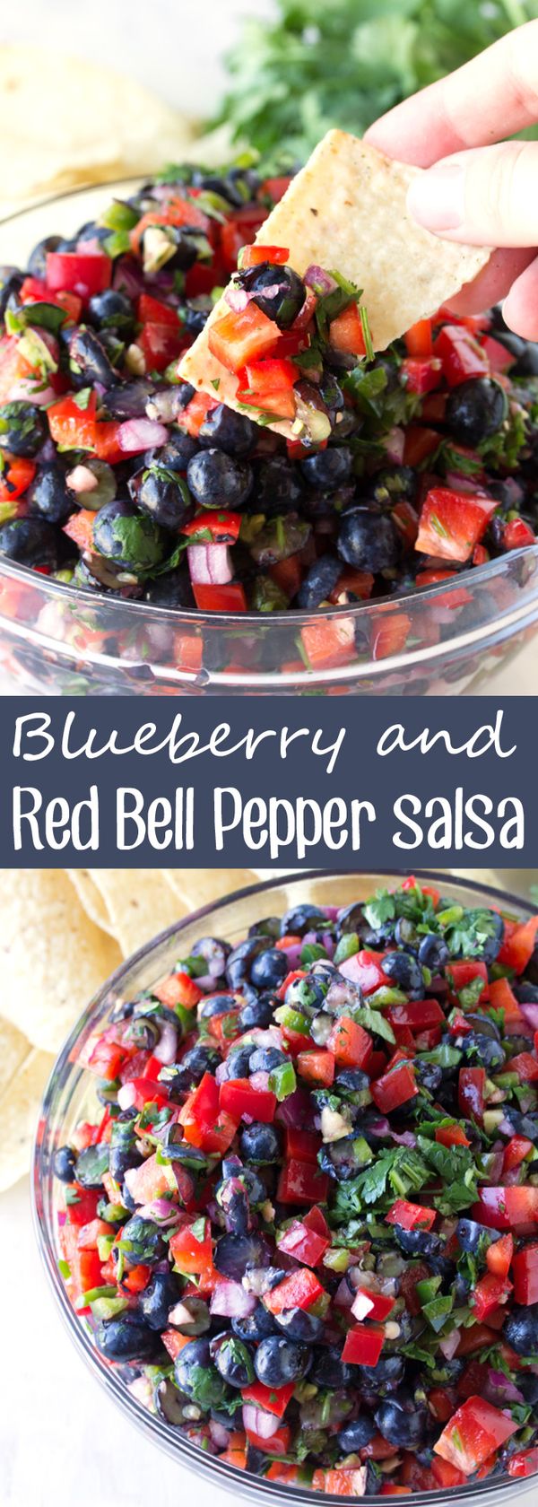 Blueberry & Red Bell Pepper Salsa