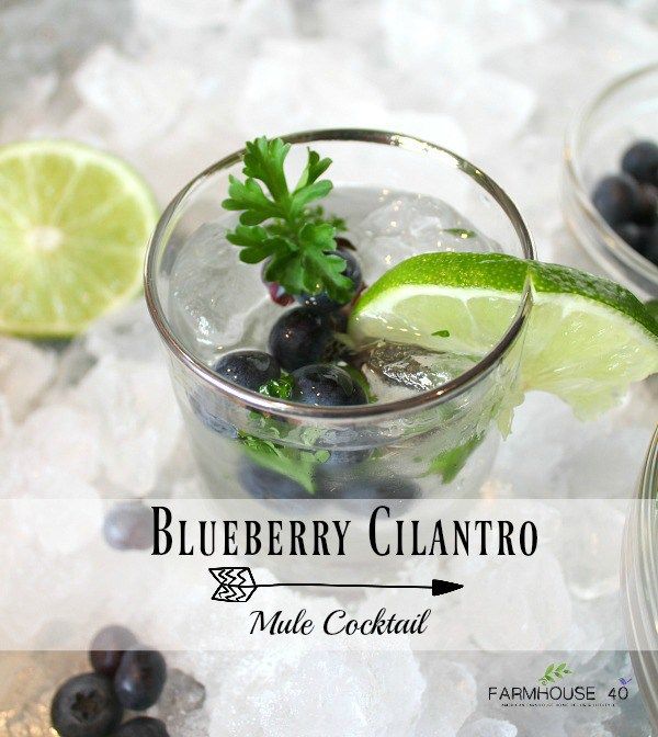 Blueberry Cilantro Mule Cocktail