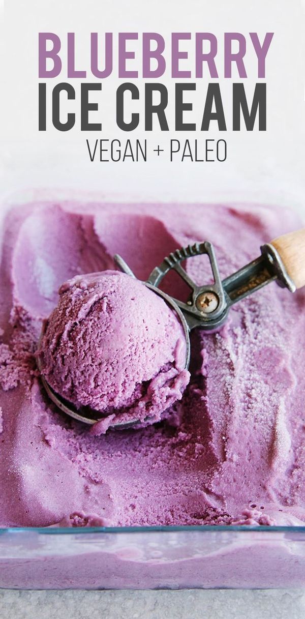 Blueberry Coconut Ice Cream