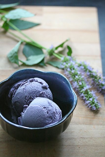 Blueberry-Hyssop Ice Cream