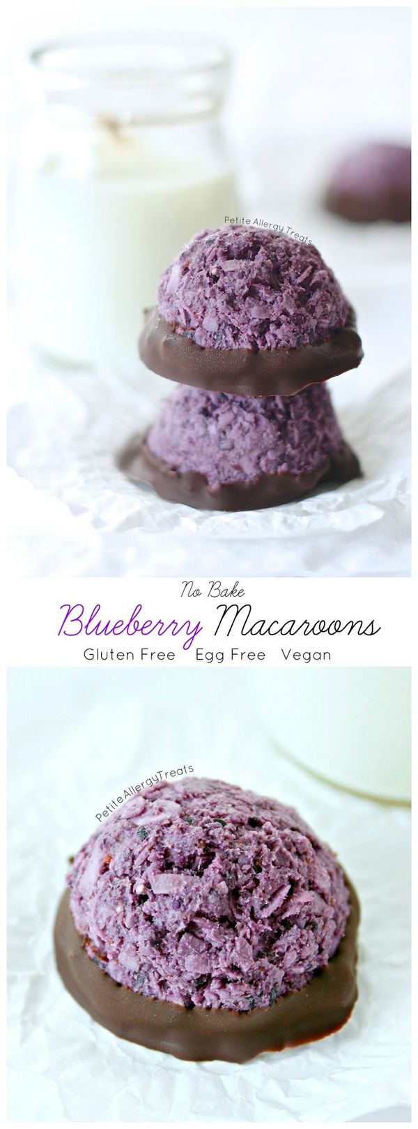 Blueberry Macaroons (Gluten Free Egg Free Dairy Free Vegan