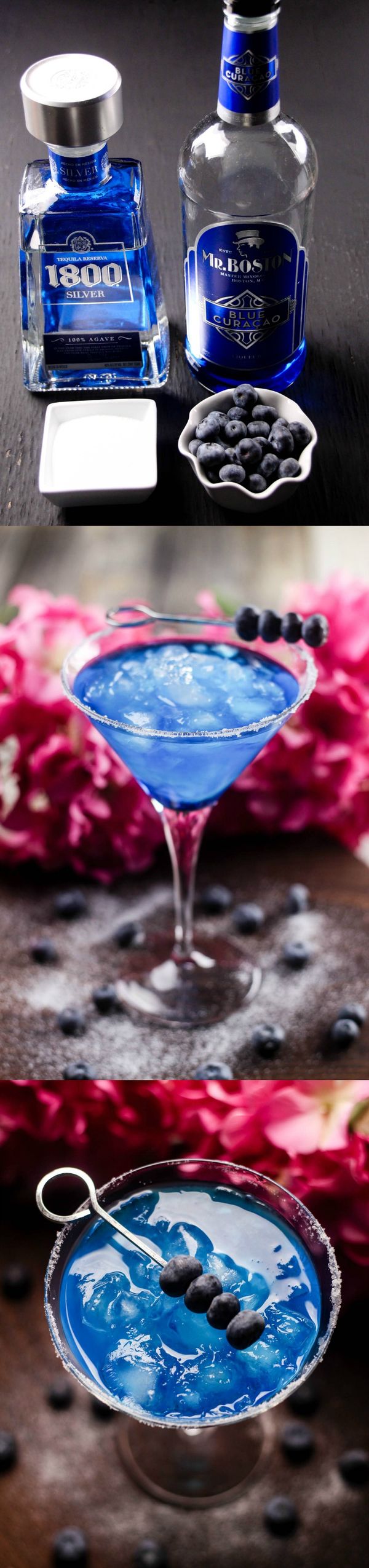 Blueberry Margarita Cocktail