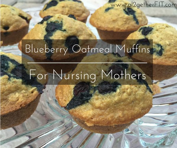 Blueberry Oatmeal Flax Muffins