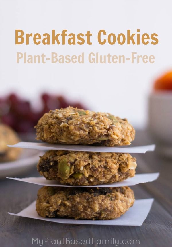 Breakfast Cookies