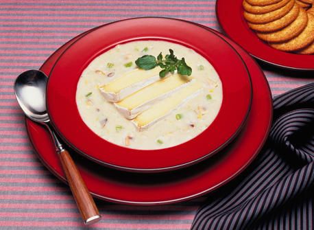 Brie Soup