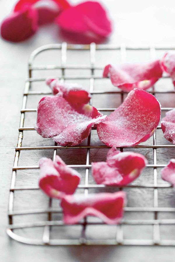 Candied Rose Petals