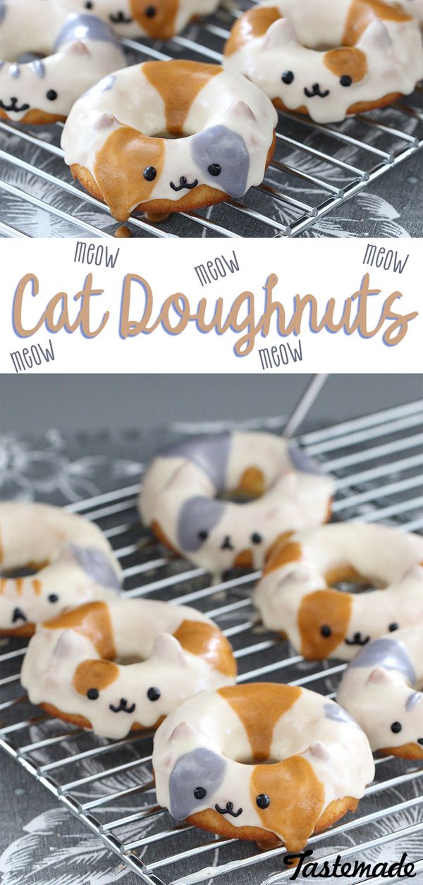 Cat Doughnuts