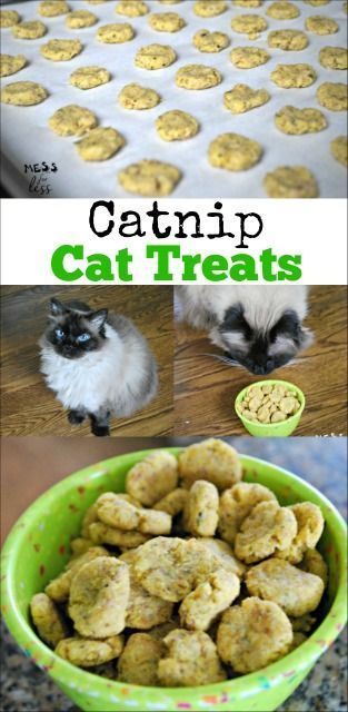 Catnip Cat Treats