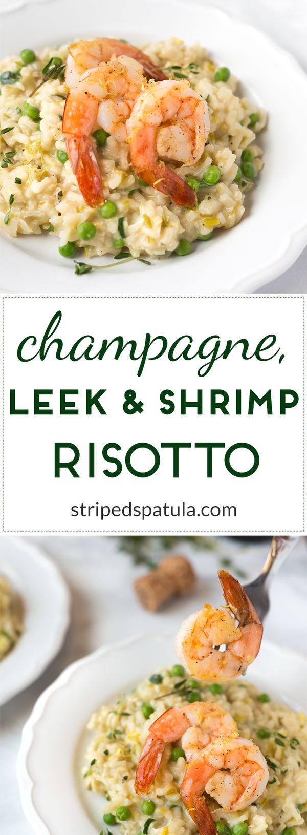 Champagne and Leek Risotto with Roasted Shrimp