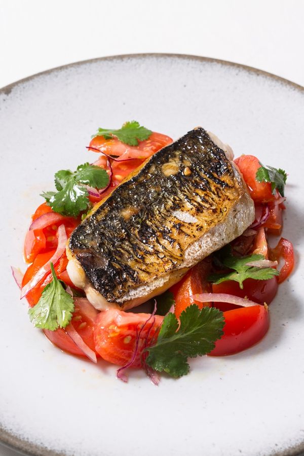 Charred mackerel with tomato ceviche