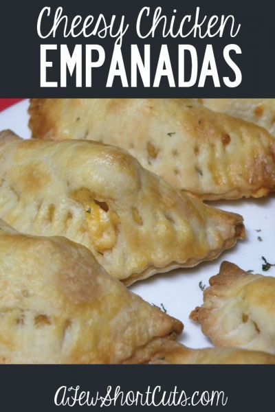 Cheesy Chicken Empanadas