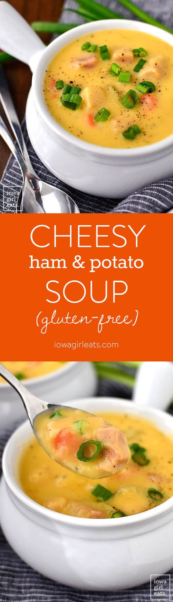 Cheesy Ham and Potato Soup