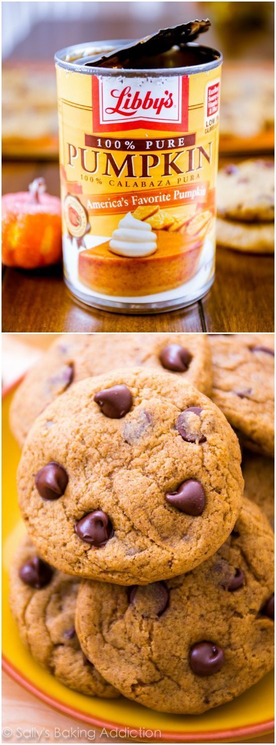 Chewy Pumpkin Chocolate Chip Cookies