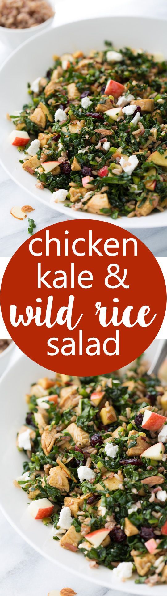 Chicken, Kale & Wild Rice Salad (Cubby’s Copycat