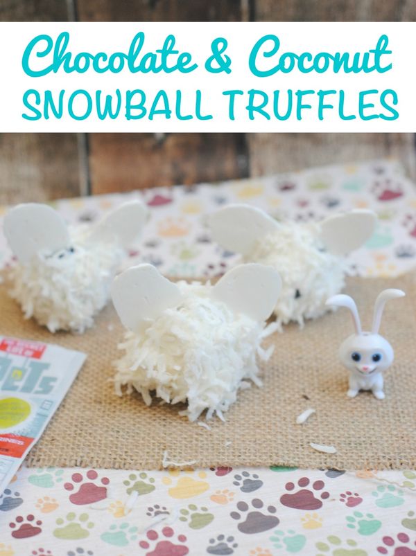 Chocolate & Coconut Snowball Truffles: Secret Life of Pets Snowball Treat