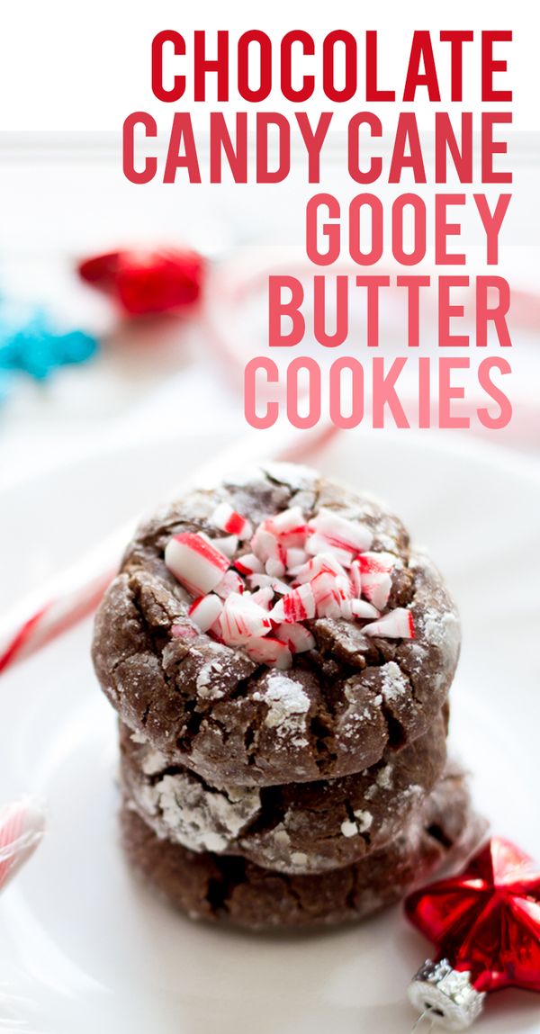 Chocolate Candy Cane Gooey Butter Cookies