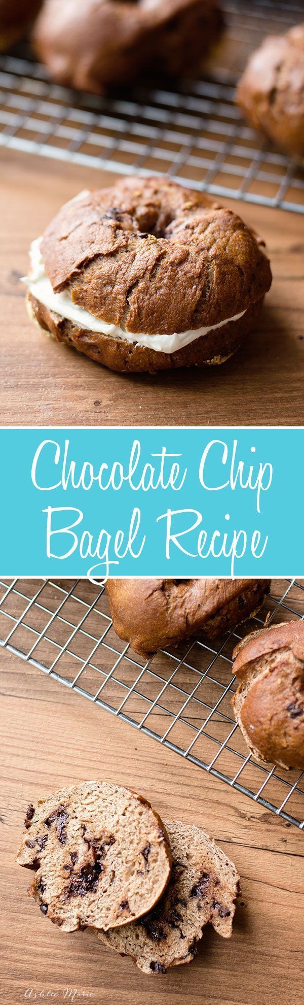 Chocolate Chocolate Chip Bagels