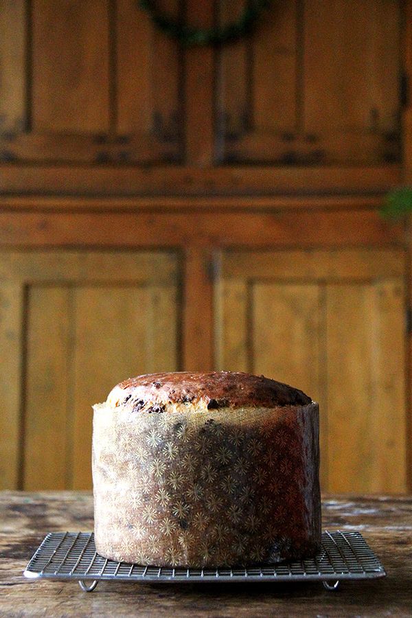 Chocolate-Studded Panettone