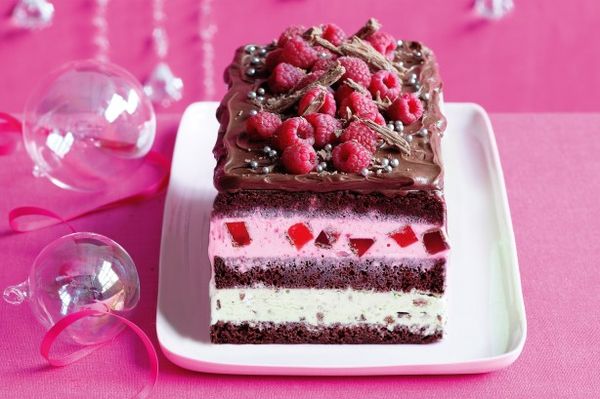 Christmas celebration chocolate ice-cream cake