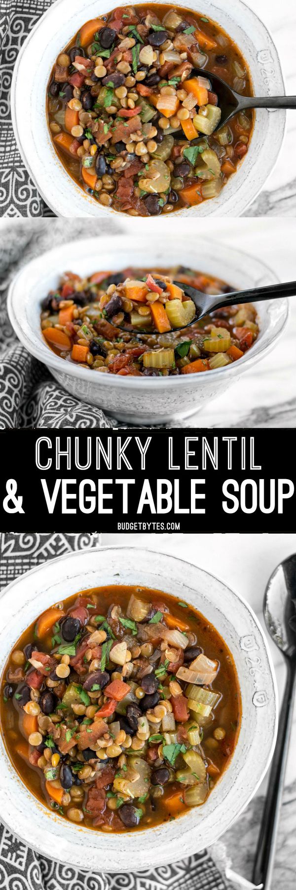 Chunky Lentil and Vegetable Soup