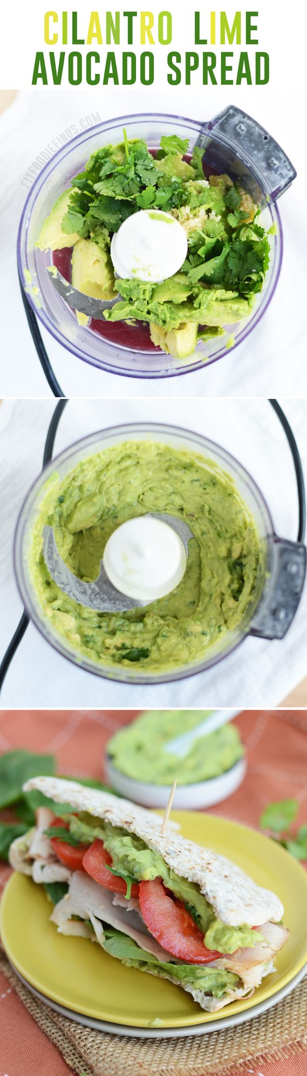 Cilantro Lime Avocado Spread