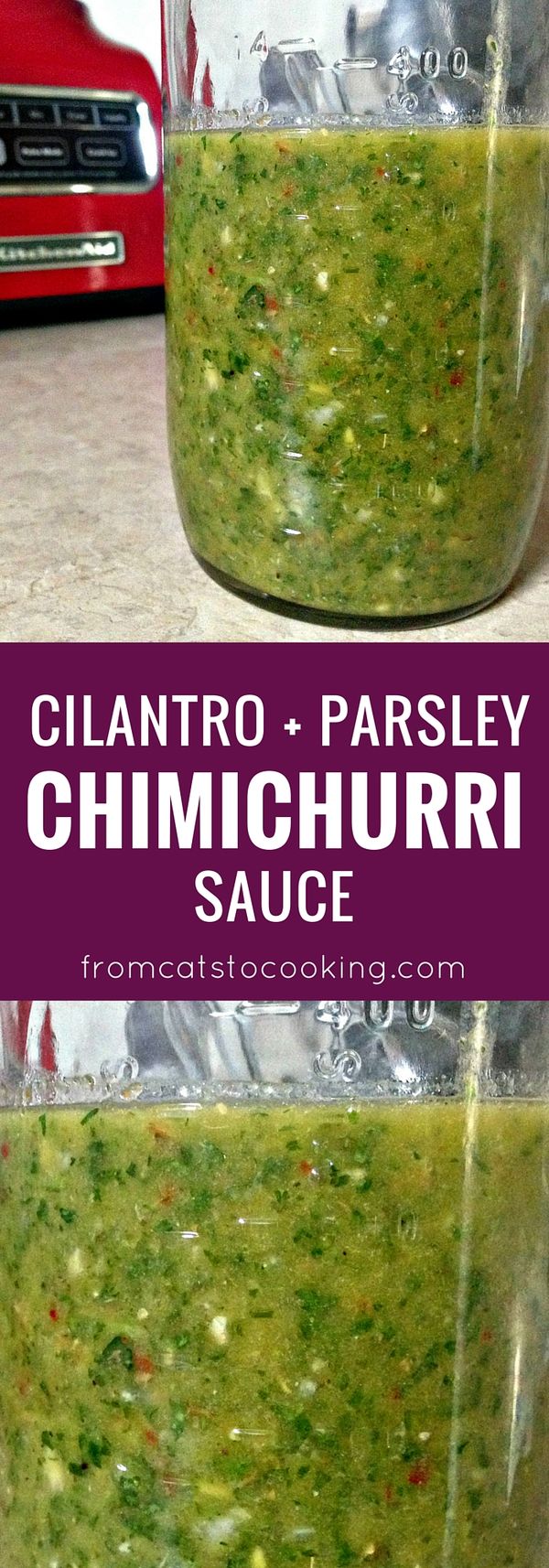 Cilantro Parsley Chimichurri Sauce